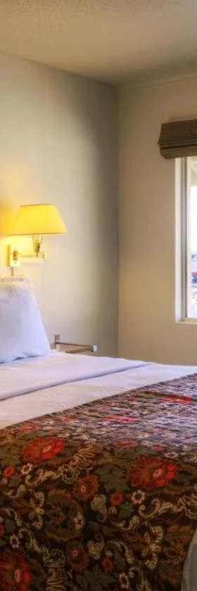 Roadrunner Lodge Motel，位于图克姆卡里的酒店