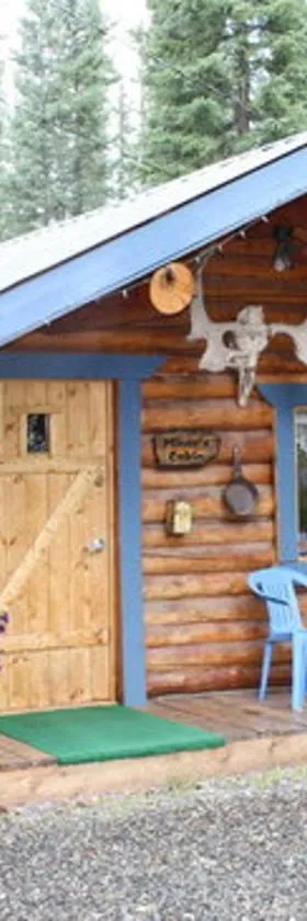 Fox n Fireweed Cabins，位于托克的酒店