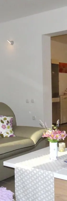 Ane Apartment，位于罗波里卡的酒店