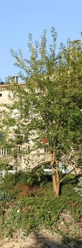 莫拉斯城堡酒店，位于Chomérac的酒店