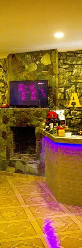 ''Aragvi'' hotel，位于Naghorevi的酒店