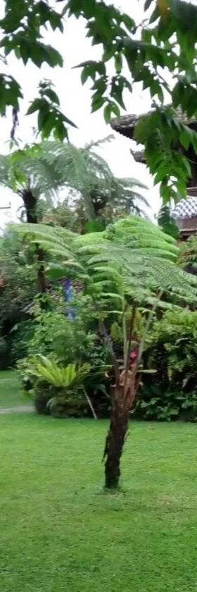 巴厘岛芒廷山林小屋，位于塞莱马德加的酒店