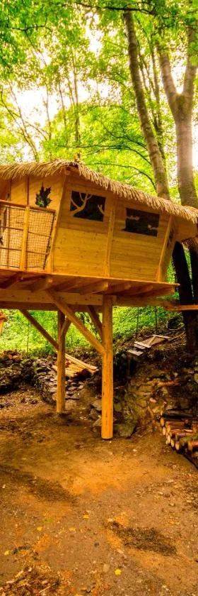 Treehouse pod Jestedem，位于Světlá pod Ještědem的酒店