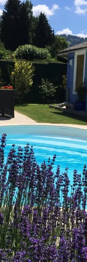 GÎTE AVEC PISCINE CHEZ Véro，位于Breitenbach-Haut-Rhin的酒店