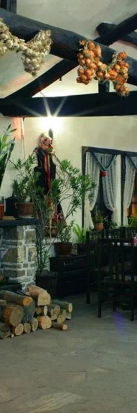 Hotel Divetsite，位于斯利文的酒店