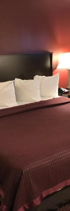 富兰克林公园芝加哥奥黑尔富豪酒店，位于Franklin Park的酒店
