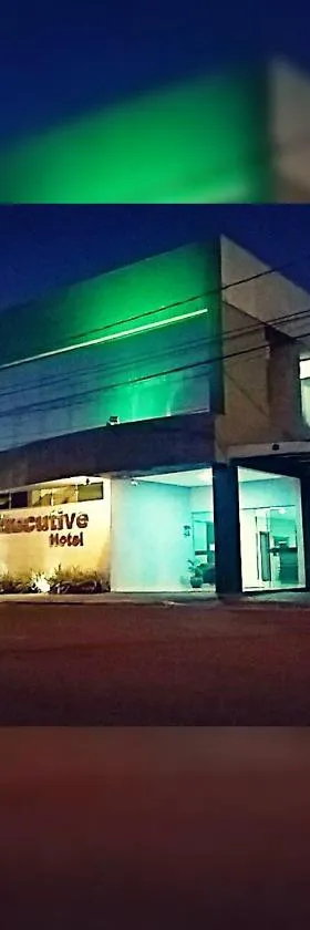 Nantes Executive Hotel，位于Pitanga的酒店