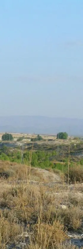 Cueva El Ermitano，位于巴萨的酒店