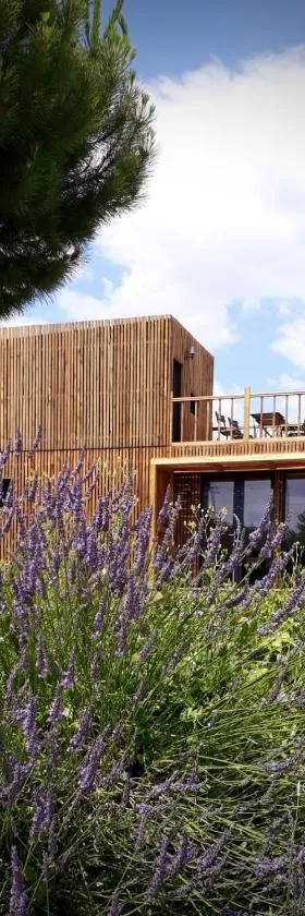 Manège de la Chapinière - DadaLoge tiny-house，位于Châteauvieux的酒店