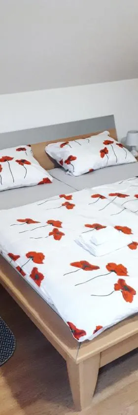 Apartman Lena，位于Tušilović的酒店