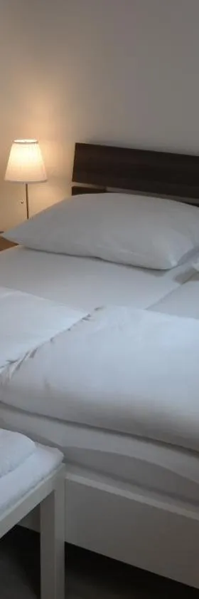 Antonio Appartement，位于Steinabrückl的酒店