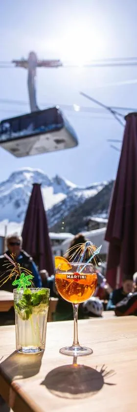 Hôtel Alpina - Swiss Ski & Bike Lodge Grimentz，位于格里门茨的酒店