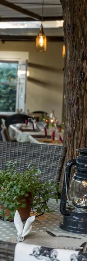 Village Boutique Hotel，位于奥奇瓦龙戈的酒店
