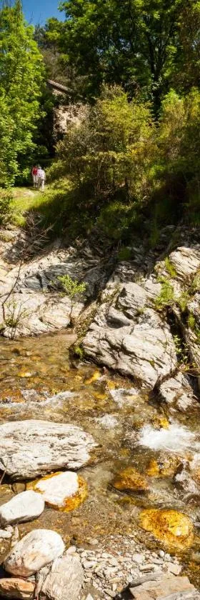 Transgardon B&B en Cévennes，位于Saint-Privat-de-Vallongue的酒店