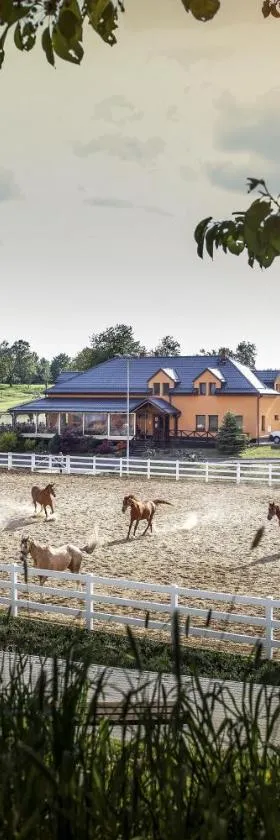 Hotel Horse Riding - Jezdecký Areál Tršice，位于Tršice的酒店