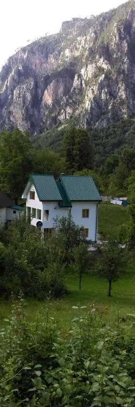 Vila Montana，位于Dobrilovina的酒店
