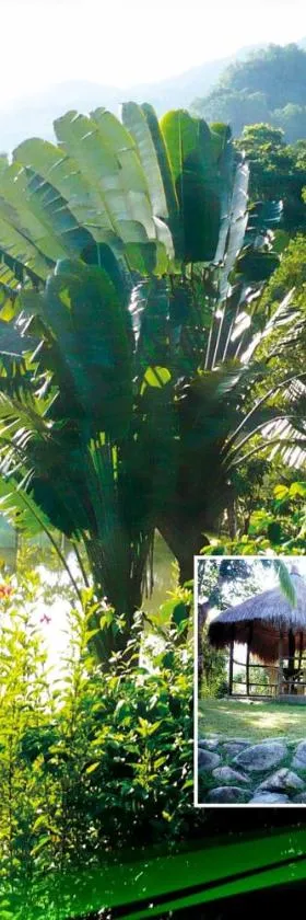 Bambua Nature Cottages，位于公主港的酒店