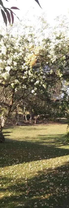Pousada Sitio da Serra，位于卡兰卡斯的酒店