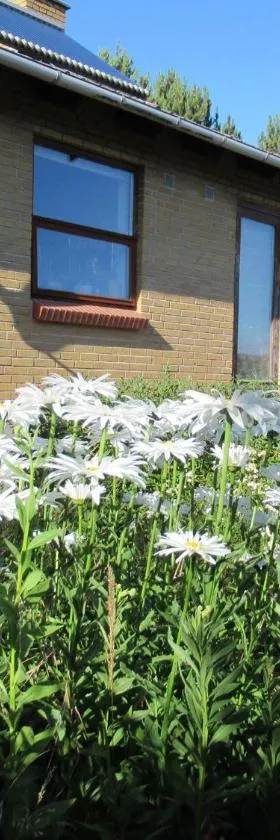 Æbelø-guidens B&B，位于博恩瑟的酒店