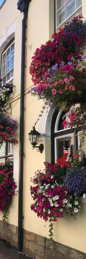 tiger inn，位于布里德波特的酒店