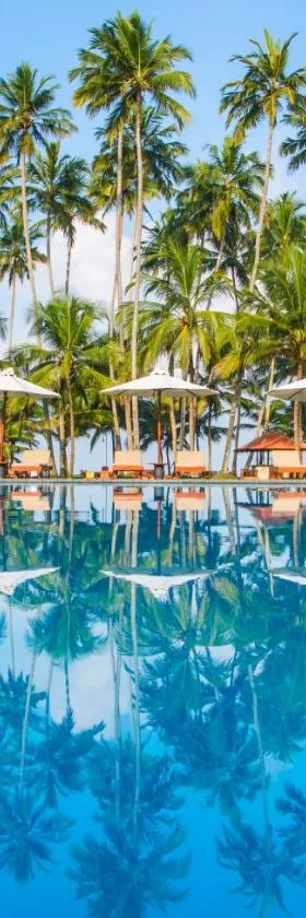 Mermaid Hotel & Club，位于卡卢特勒的酒店