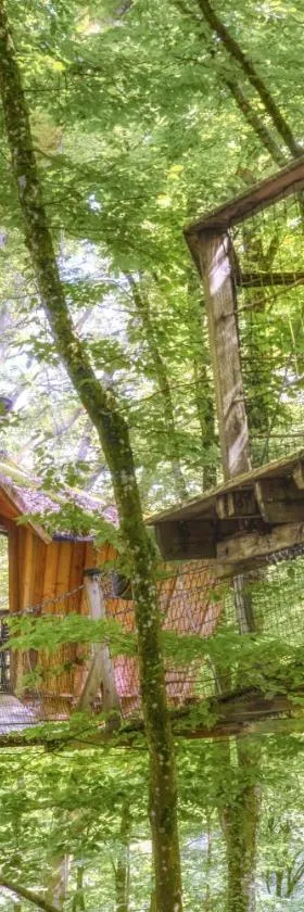L'Arbre à Cabane，位于Guyonvelle的酒店