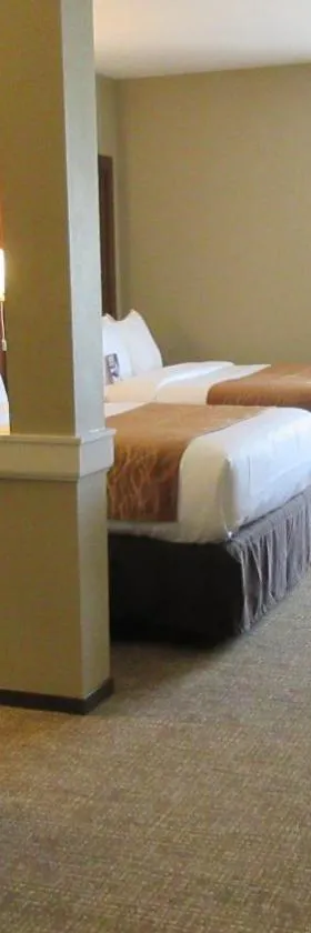 Comfort Inn & Suites Boise Airport，位于博伊西的酒店