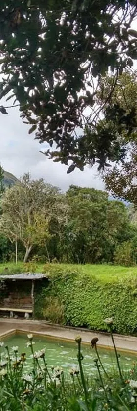 Termas El Pantanal，位于帕帕亚克塔的酒店