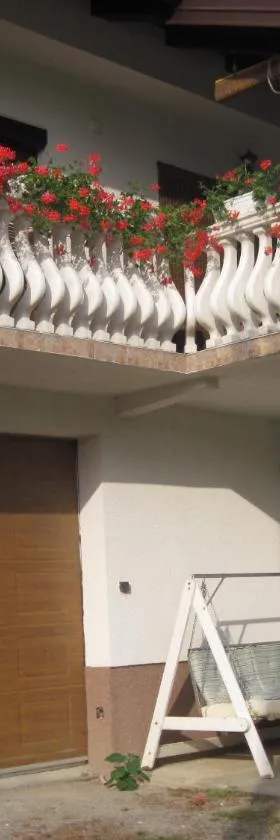 Apartment Yasica，位于Izačić的酒店