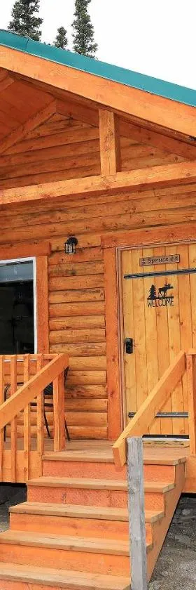 Denali Tri-Valley Cabins，位于希利的酒店