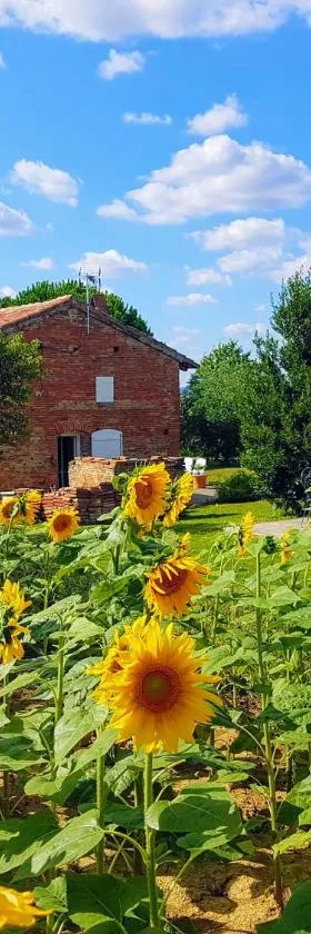 Les Hauts de Sames，位于Deyme的酒店