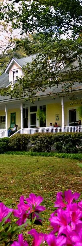 Magnolia Springs Bed and Breakfast，位于Magnolia Springs的酒店
