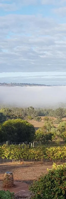 Pecan Hill BNB，位于Toodyay的酒店