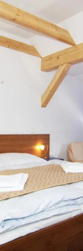 Hotel Pod Sluncem，位于Třebíz的酒店