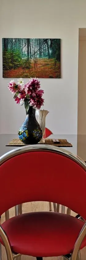 Vorutos Terasa，位于阿尼克什奇艾的酒店