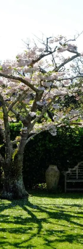Garden Retreat，位于Otaki的酒店