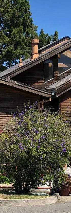 Mountain Home Inn，位于米尔谷的酒店