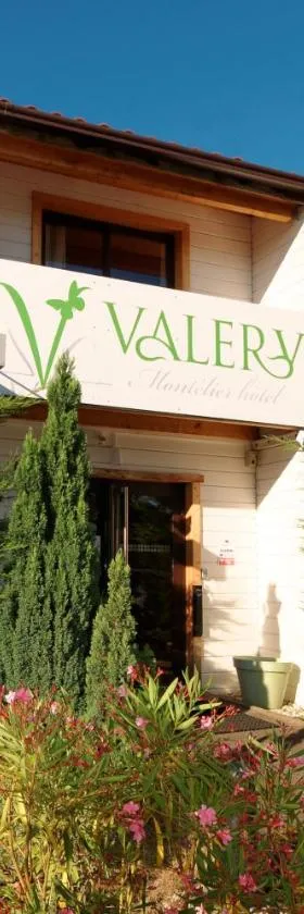 瓦莱里酒店，位于蒙代列赫的酒店