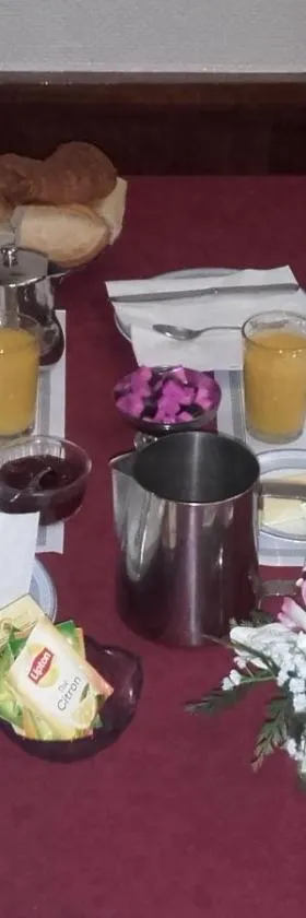 Logis Hôtel Beauséjour，位于绍维尼的酒店