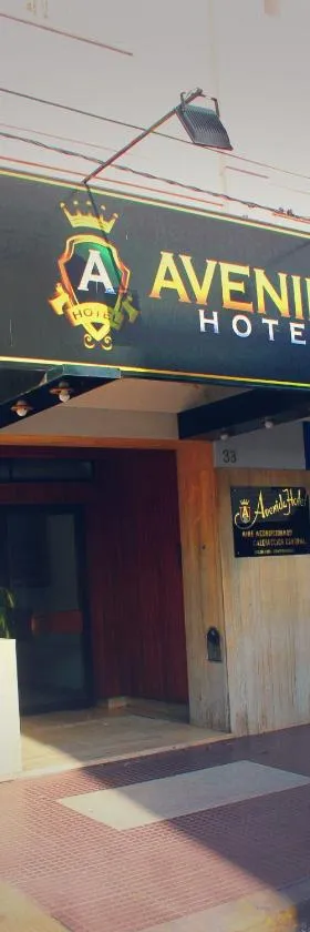 Avenida Hotel，位于胡宁的酒店