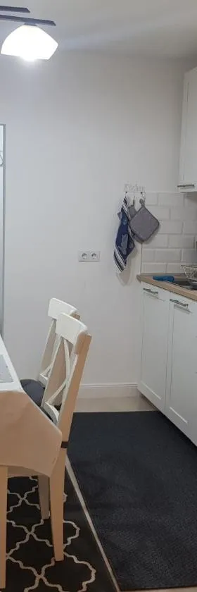 Luxury Apartment，位于Ramingstein的酒店