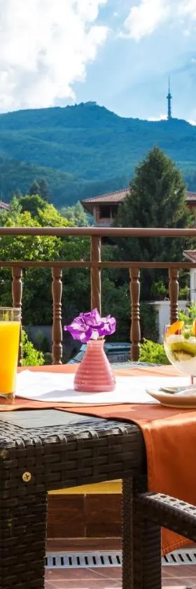Hotel Villa Boyana - Free Parking，位于索非亚的酒店