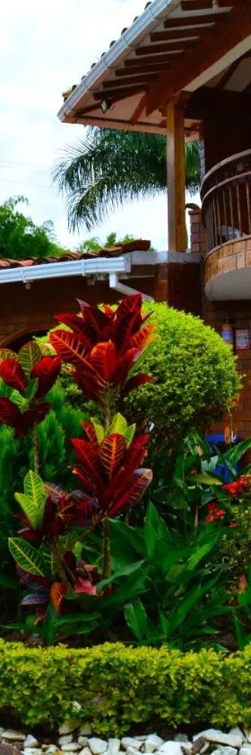 Hostal San Jorge，位于佩雷拉的酒店
