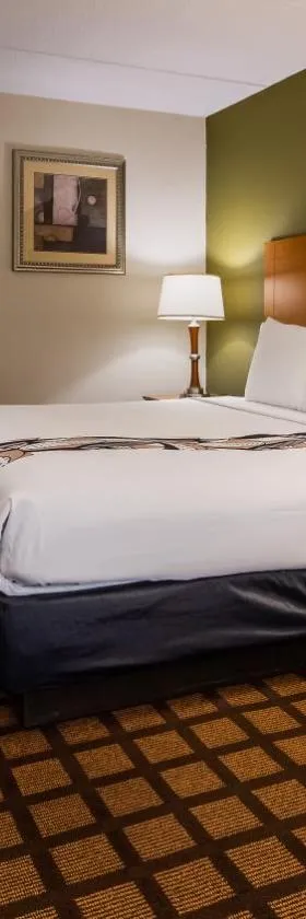 Best Western Plus Chicago Hillside，位于希尔赛德的酒店