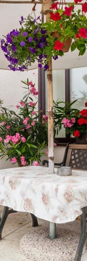 House Marija，位于维尔纽斯的酒店