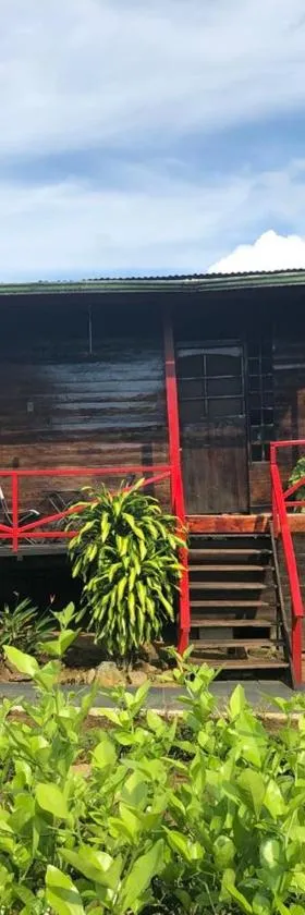 Posada turística Quenari Wii，位于Mitú的酒店