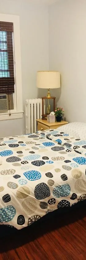 Best Bedroom Next to JHU，位于巴尔的摩的酒店