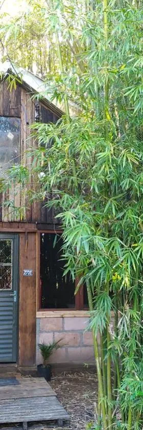 Cabana Bambu，位于Sapiranga的酒店