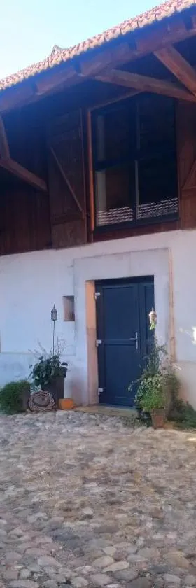比什维尔科尔马，位于比什维尔的酒店
