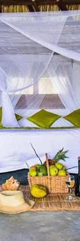 Ecohotel Kocoluu，位于圣贝尔纳多德尔比恩托的酒店